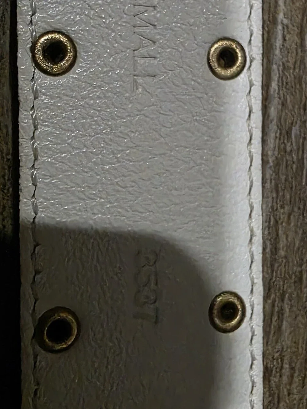 Coach Belt